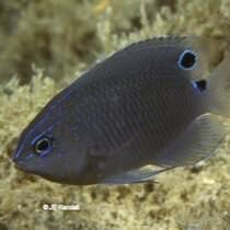 Potchana Boonyanatae