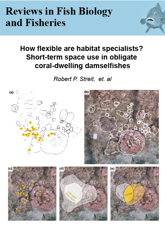 How flexible are habitat specialists? Short-term space use in obligate coral-dwelling damselfishes