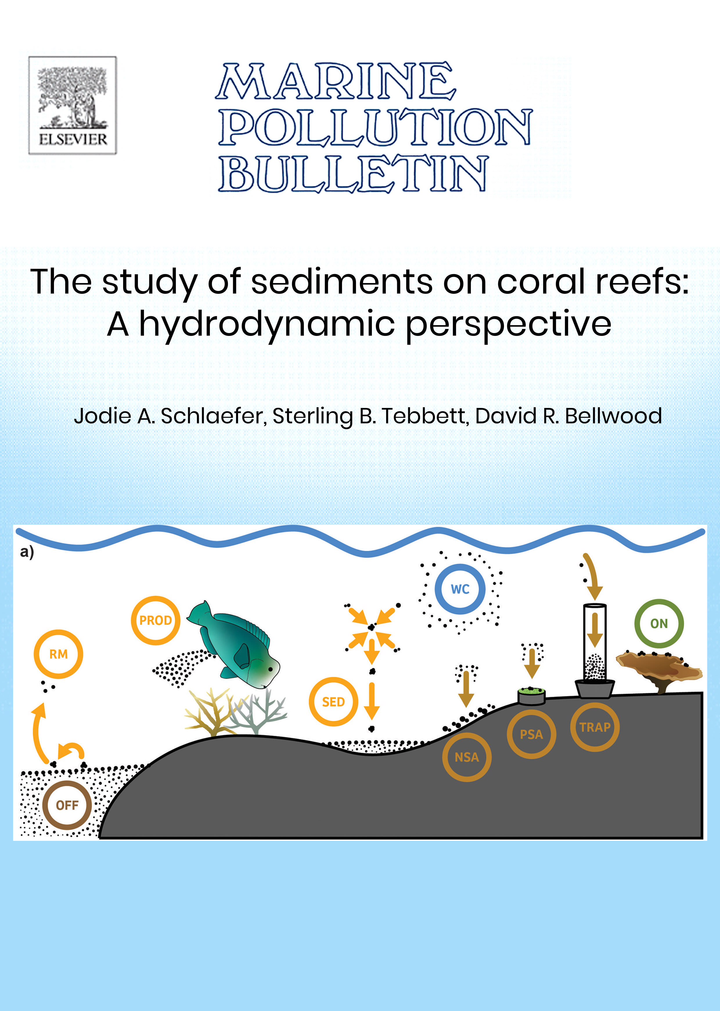 The study of sediments on coral reefs: A hydrodynamic perspective