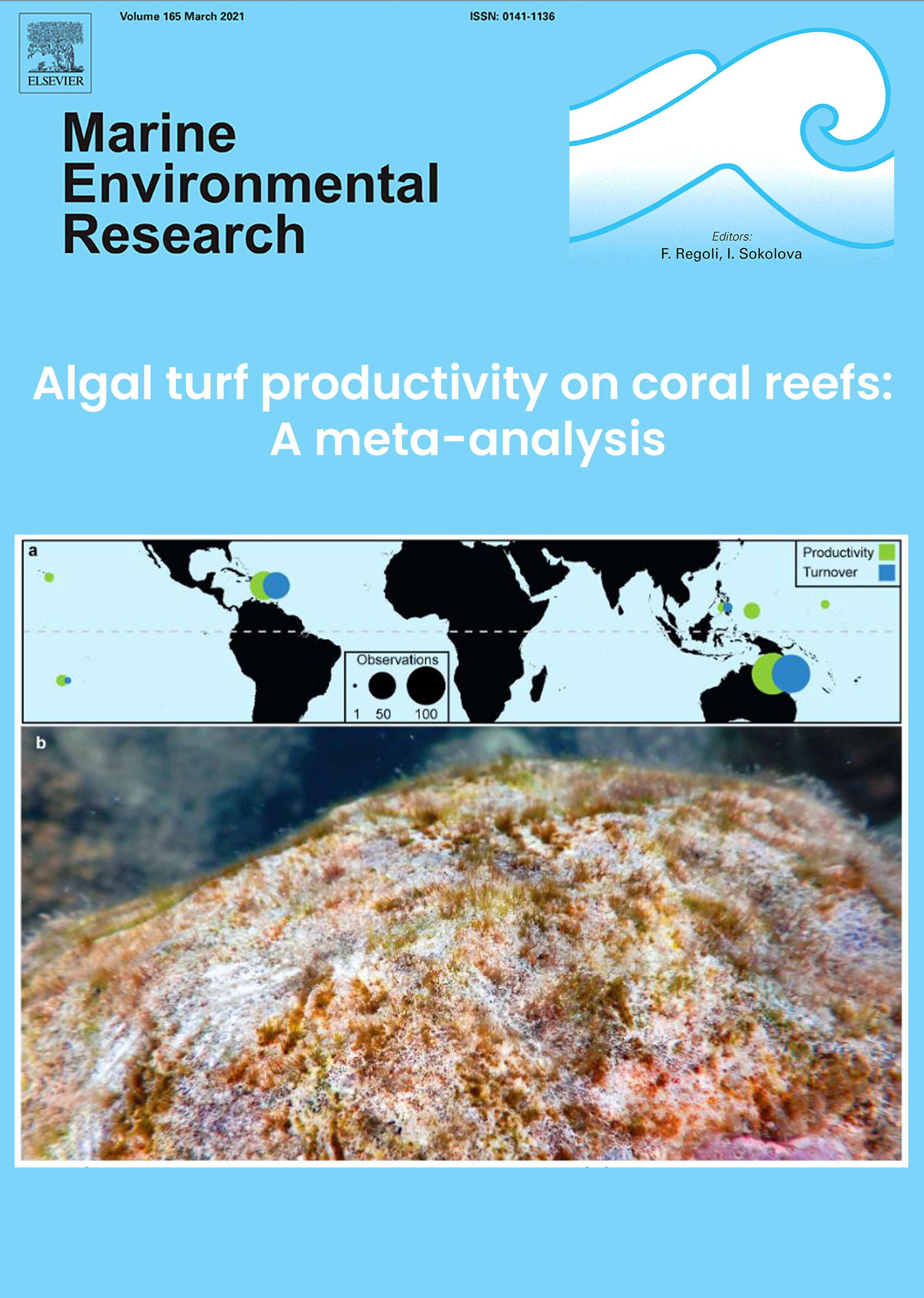 Algal turf productivity on coral reefs: A meta-analysis