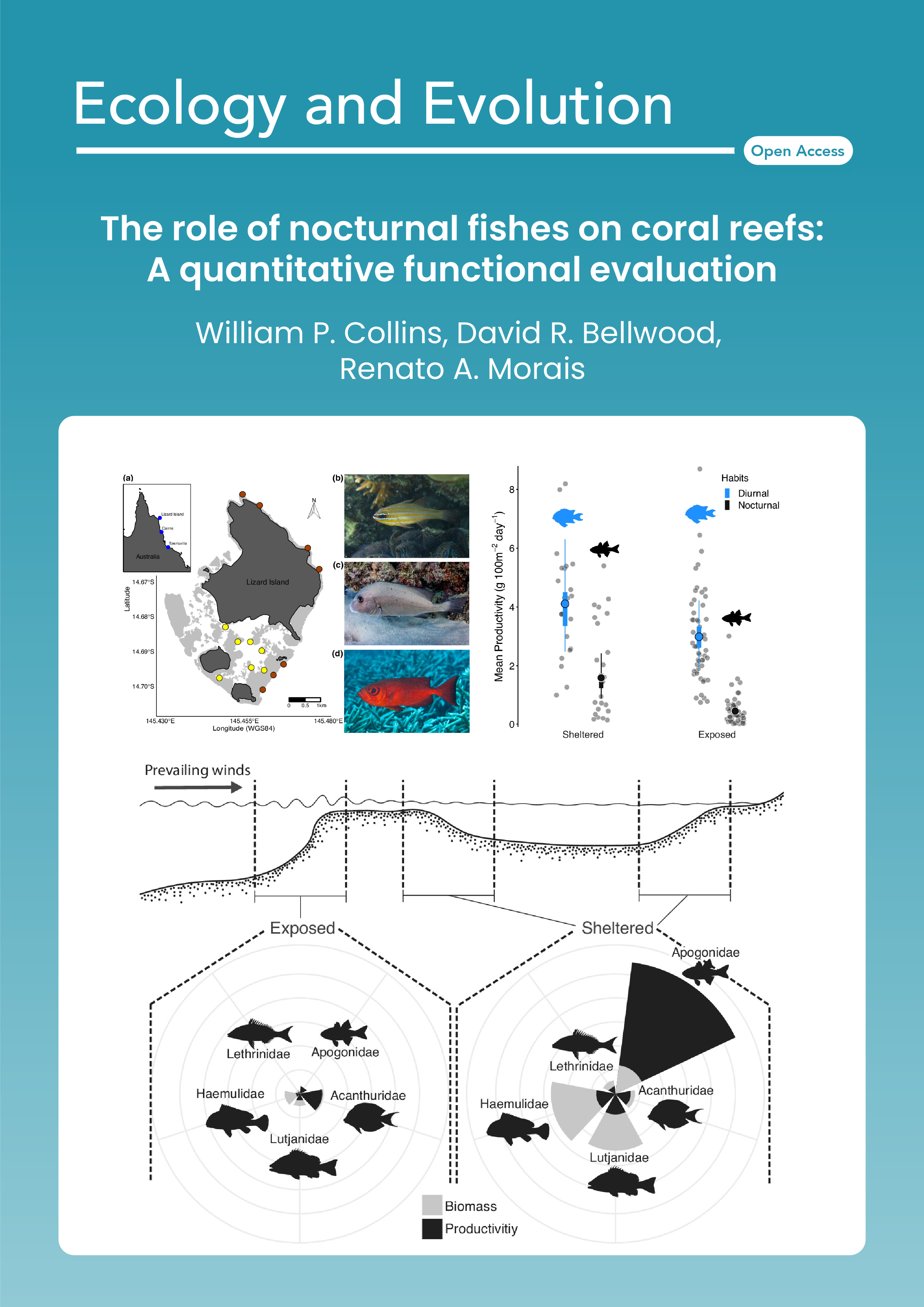 The role of nocturnal fishes on coral reefs: A quantitative functional evaluation