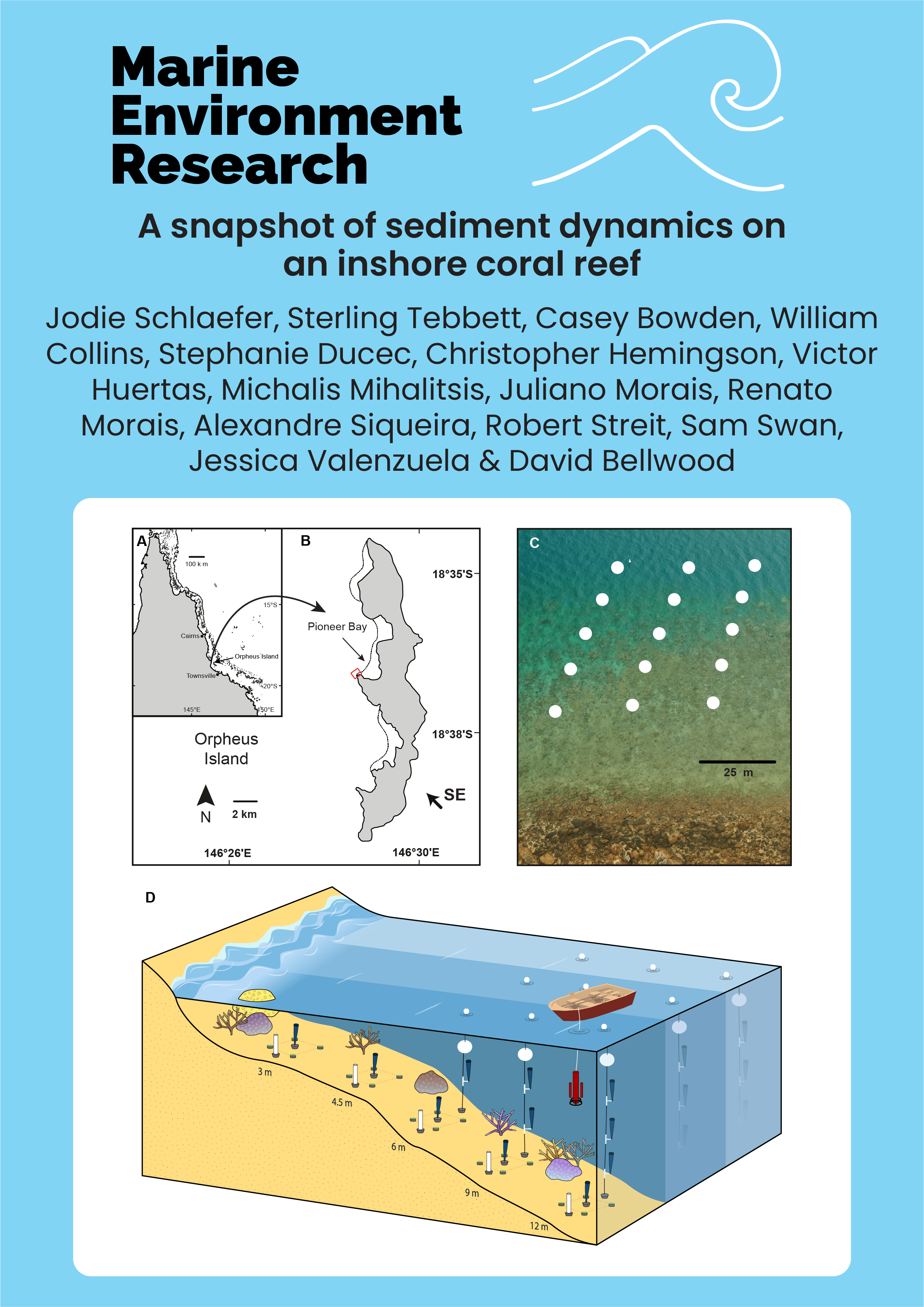 A snapshot of sediment dynamics on an inshore coral reef