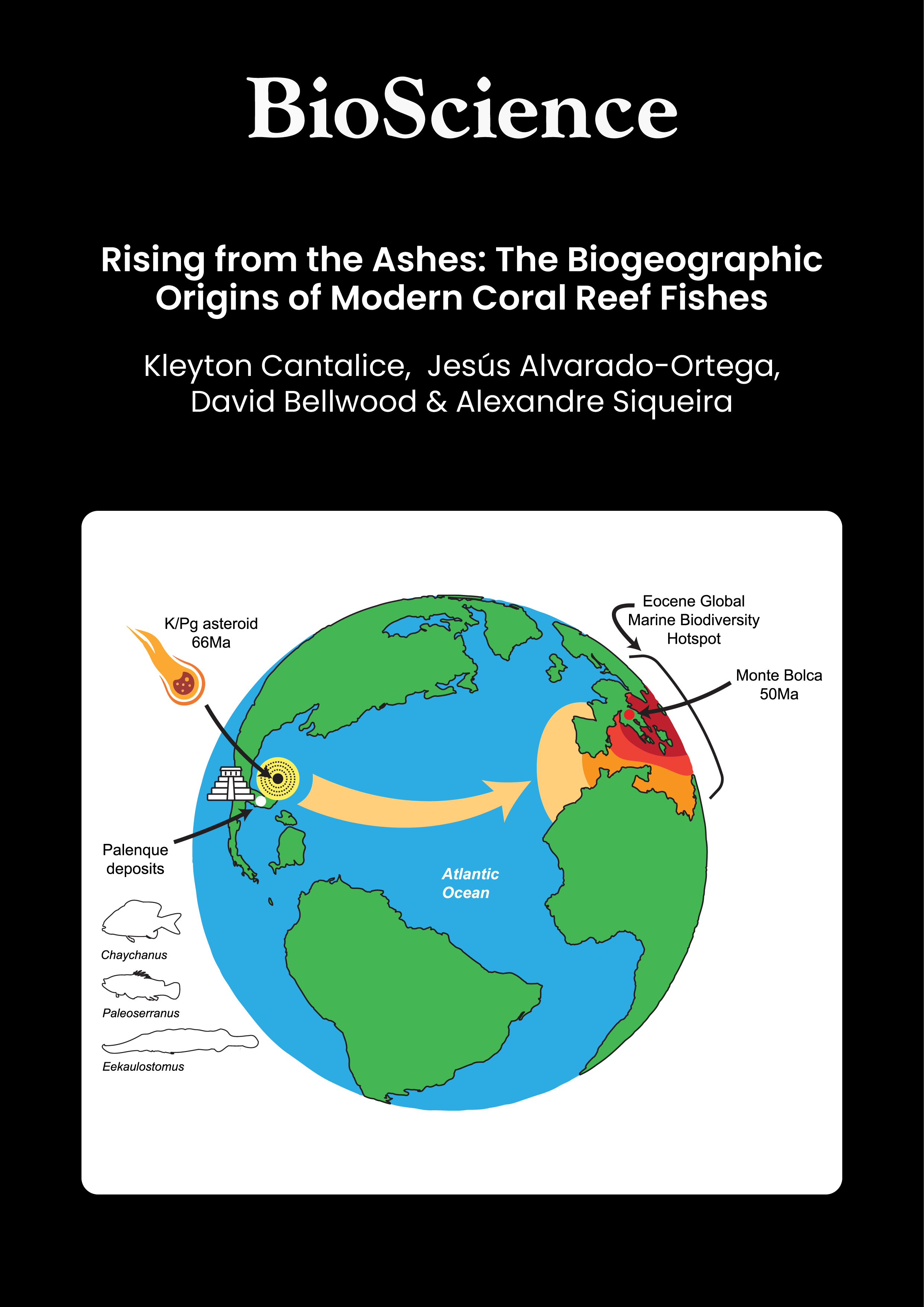 Rising from the Ashes: The Biogeographic Origins of Modern Coral Reef Fishes