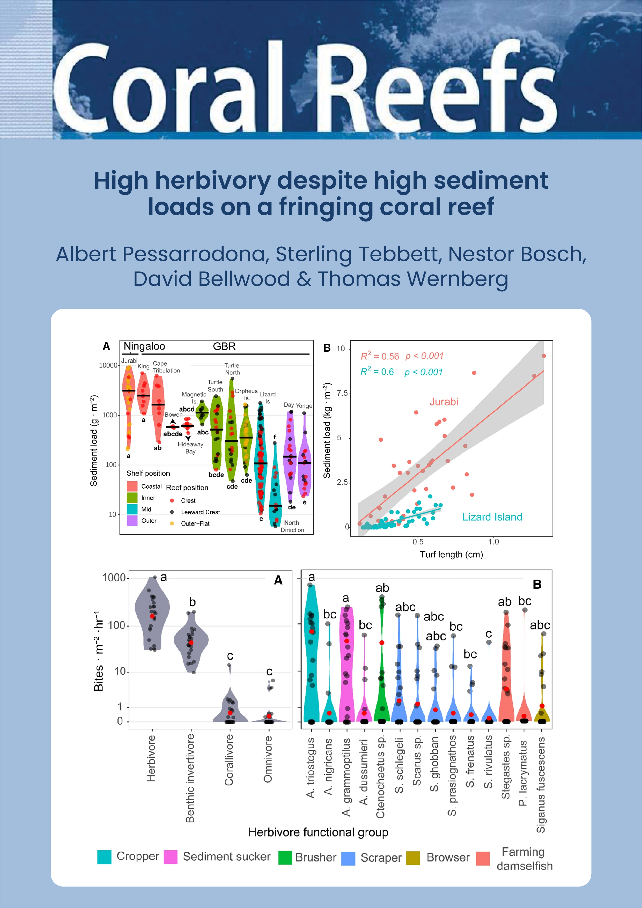 High herbivory despite high sediment loads on a fringing coral reef