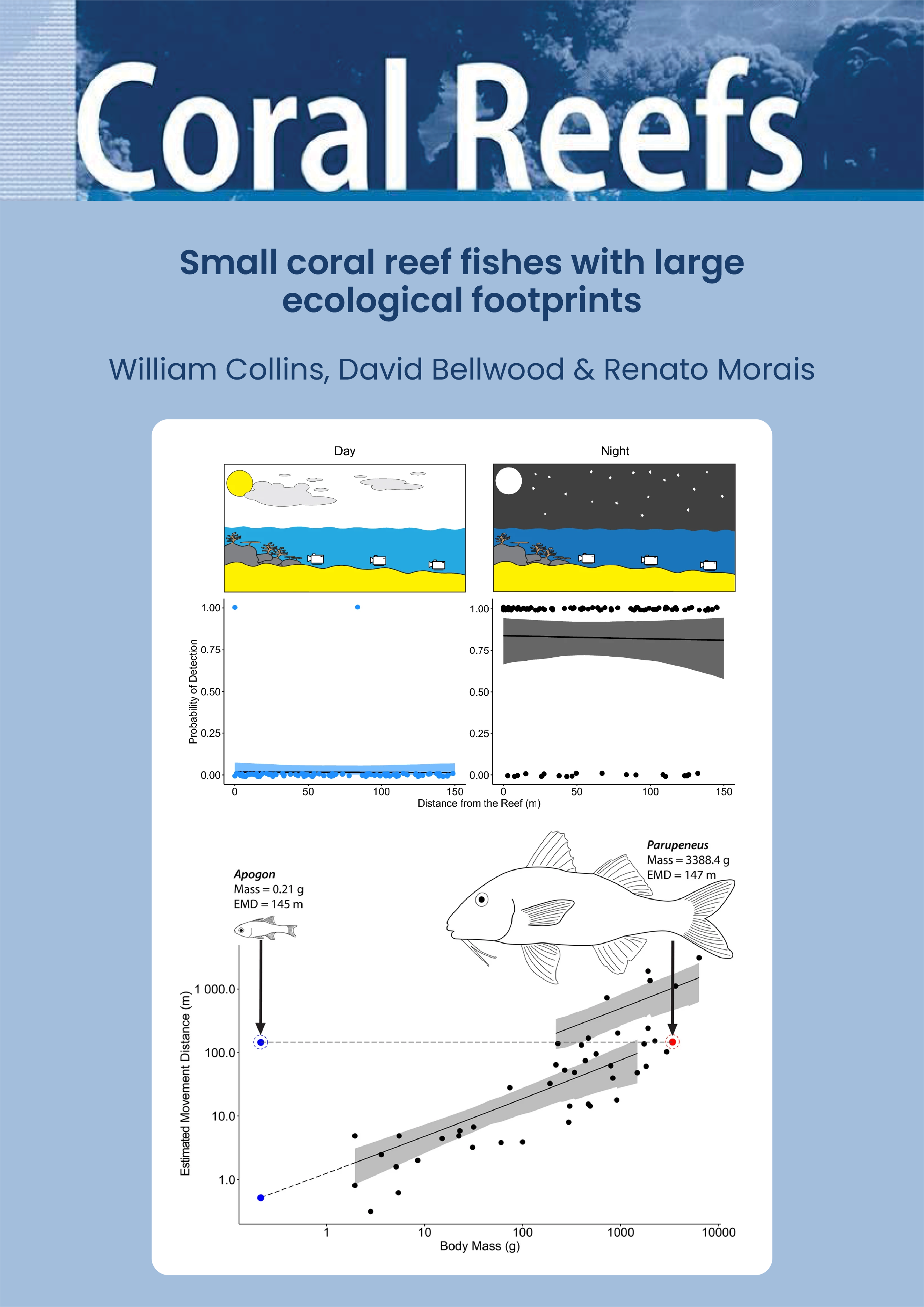 Small coral reef fishes with large ecological footprints