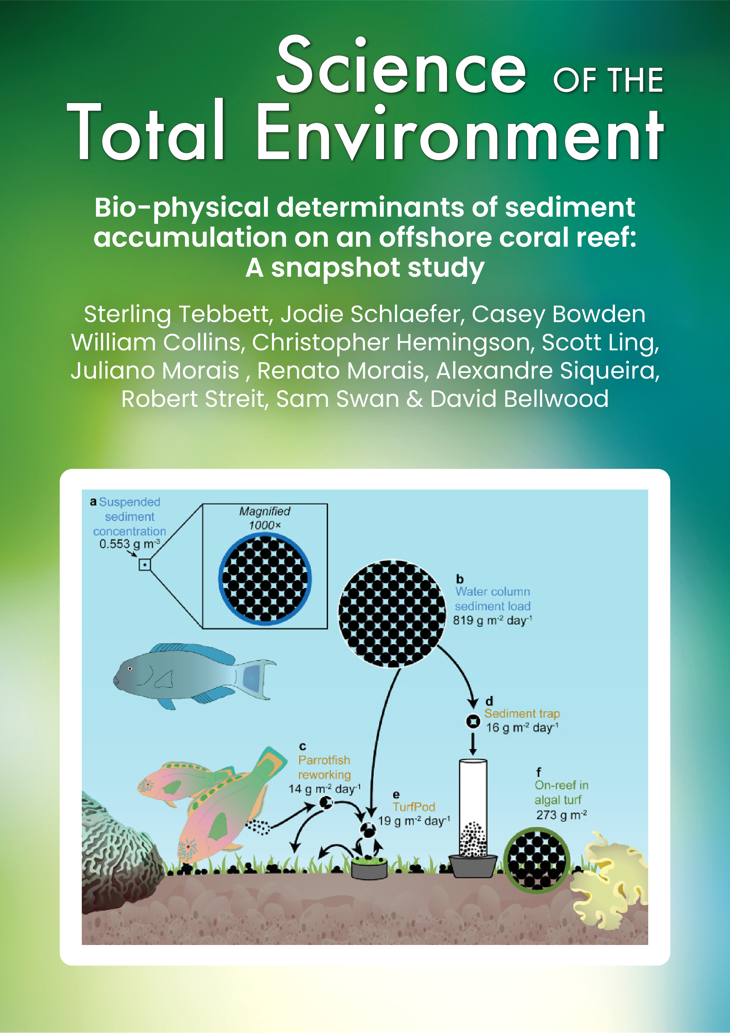 Bio-physical determinants of sediment accumulation on an offshore coral reef: A snapshot study