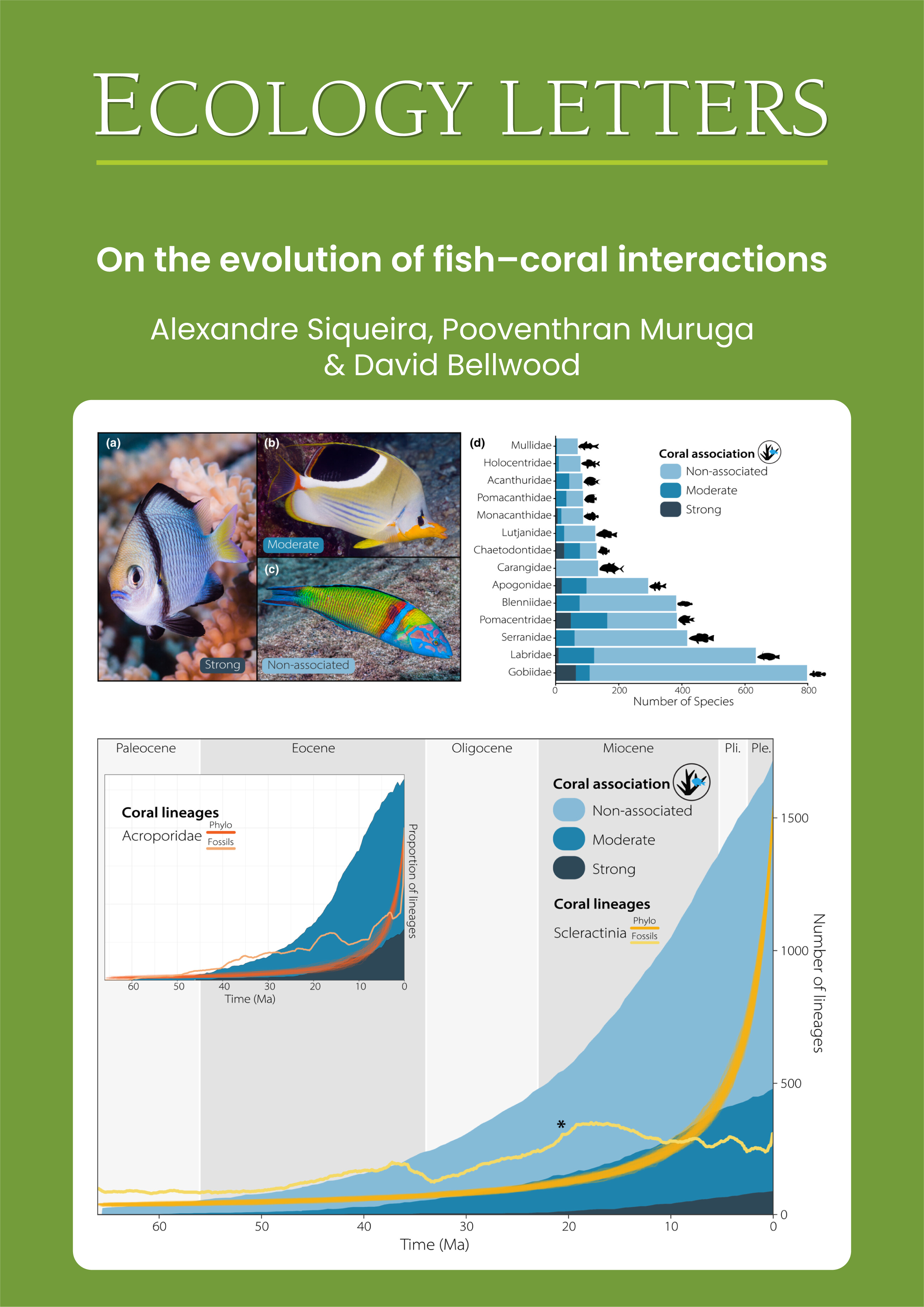 On the evolution of fish–coral interactions