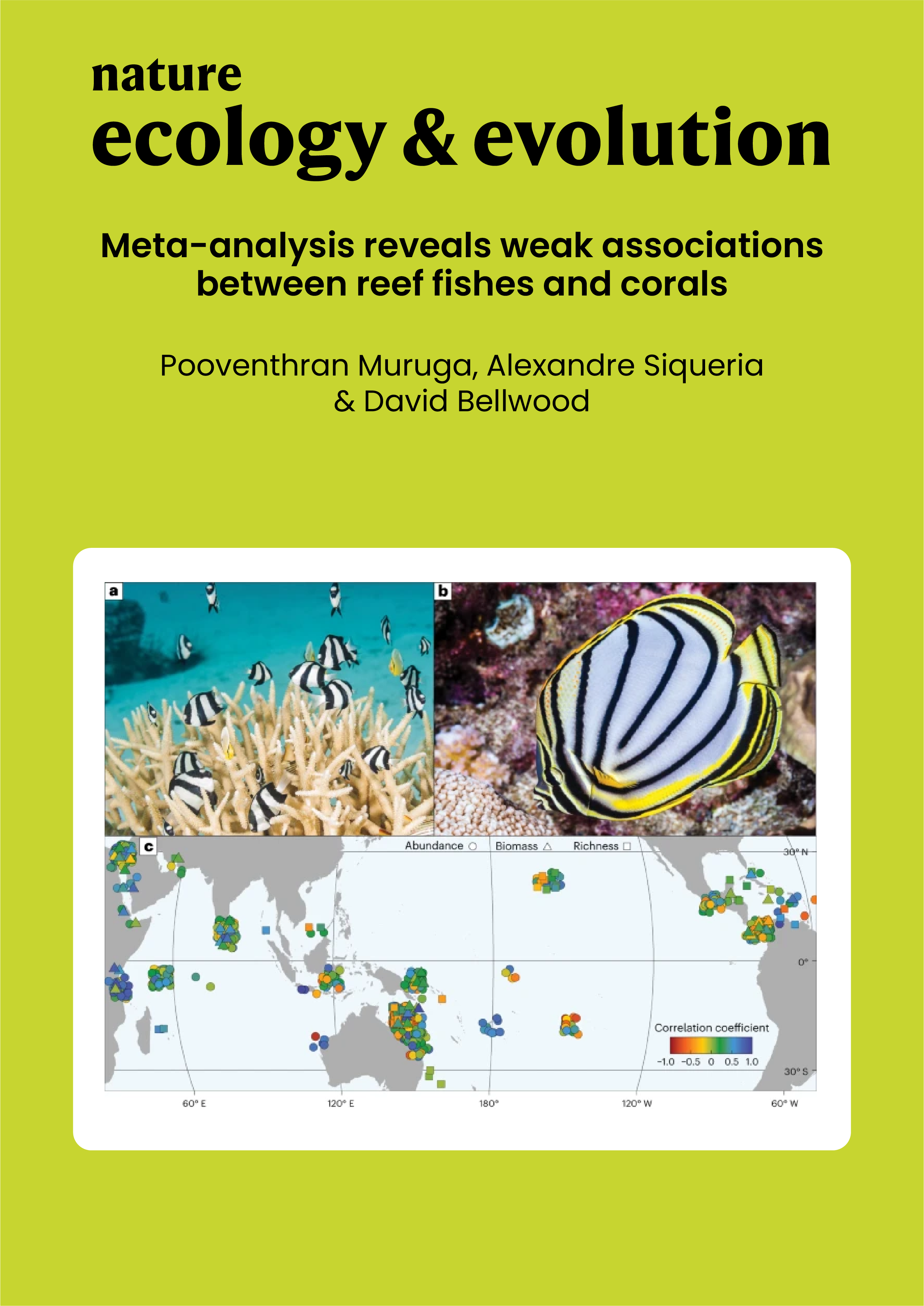 Meta-analysis reveals weak associations between reef fishes and corals