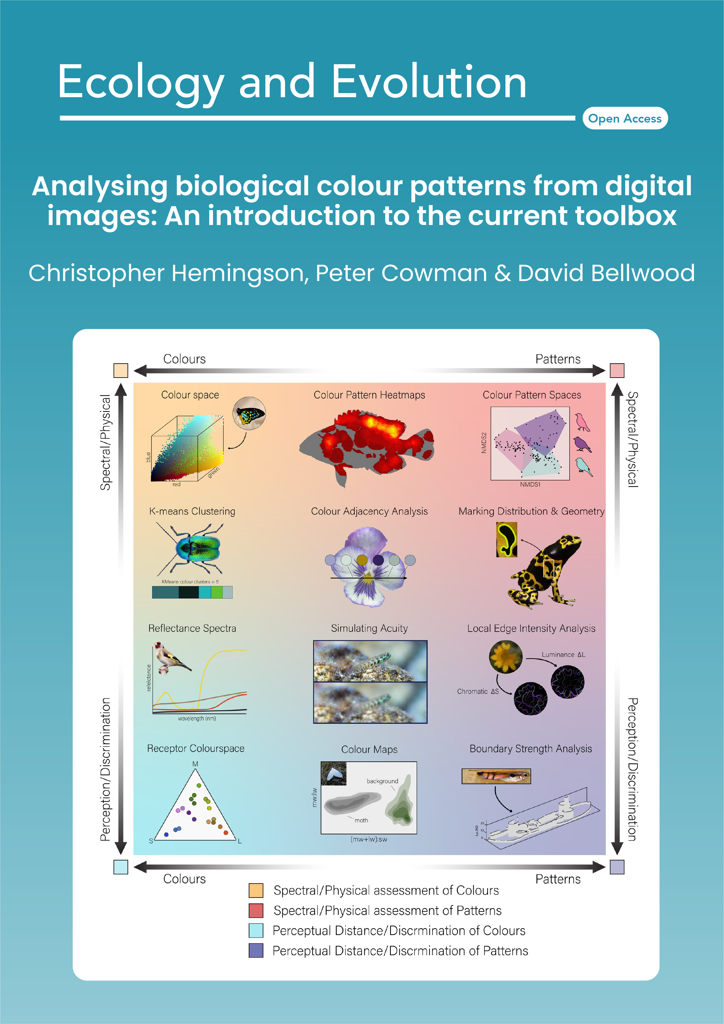 Analysing biological colour patterns from digital images: An introduction to the current toolbox