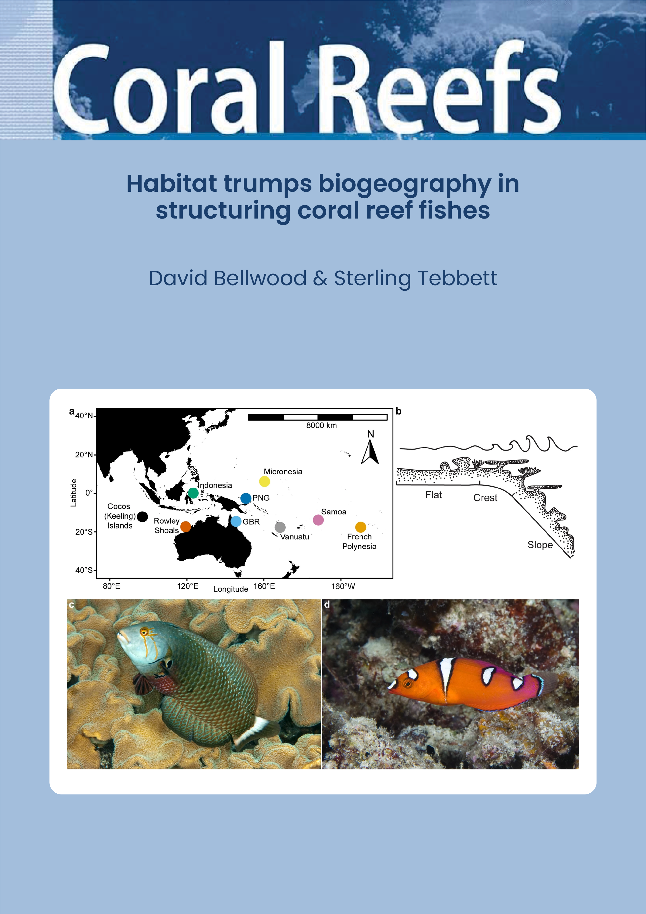 Diel movement patterns in nominally nocturnal coral reef fishes (Haemulidae and Lutjanidae): Intra vs. Interspecific variation